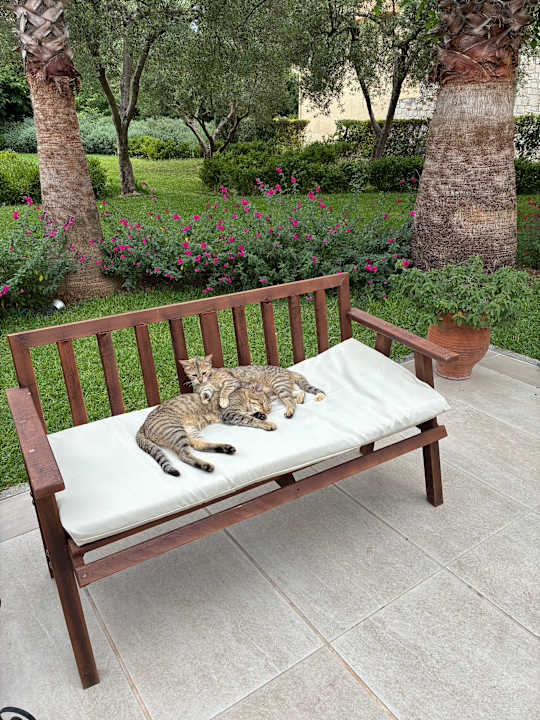Sonstiges Hotel Portes Beach