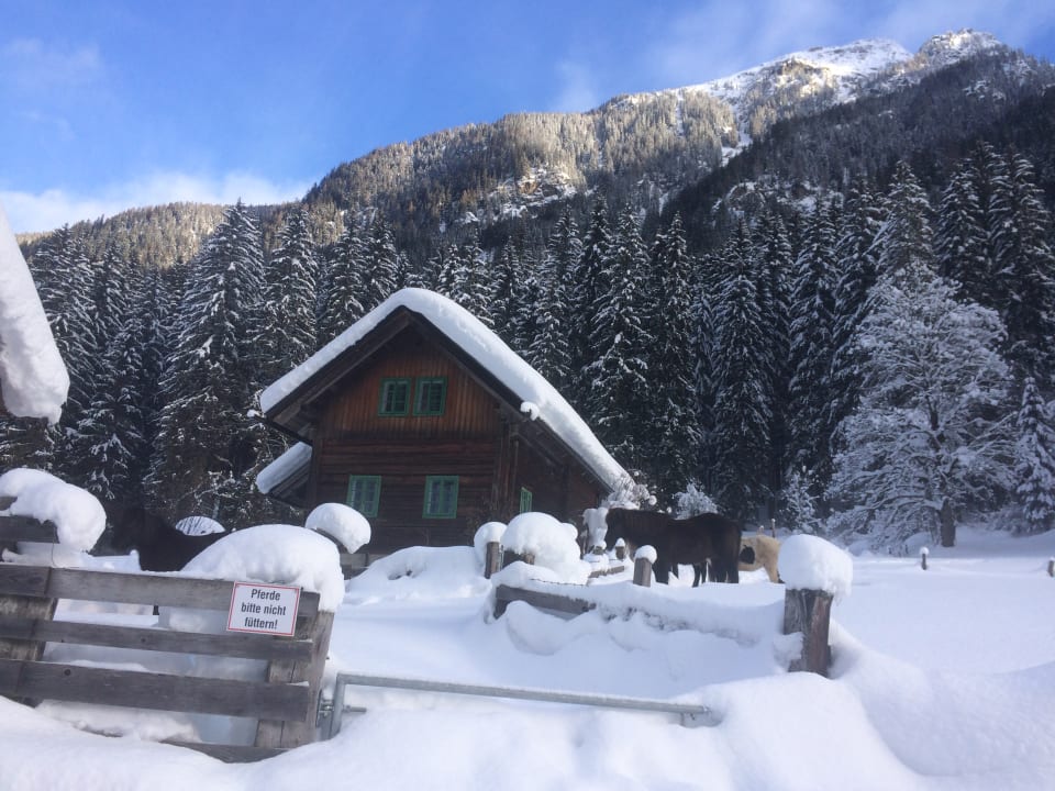 Außenansicht Abelhof