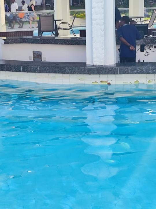 Pool Hotel Southern Palms Beach Resort