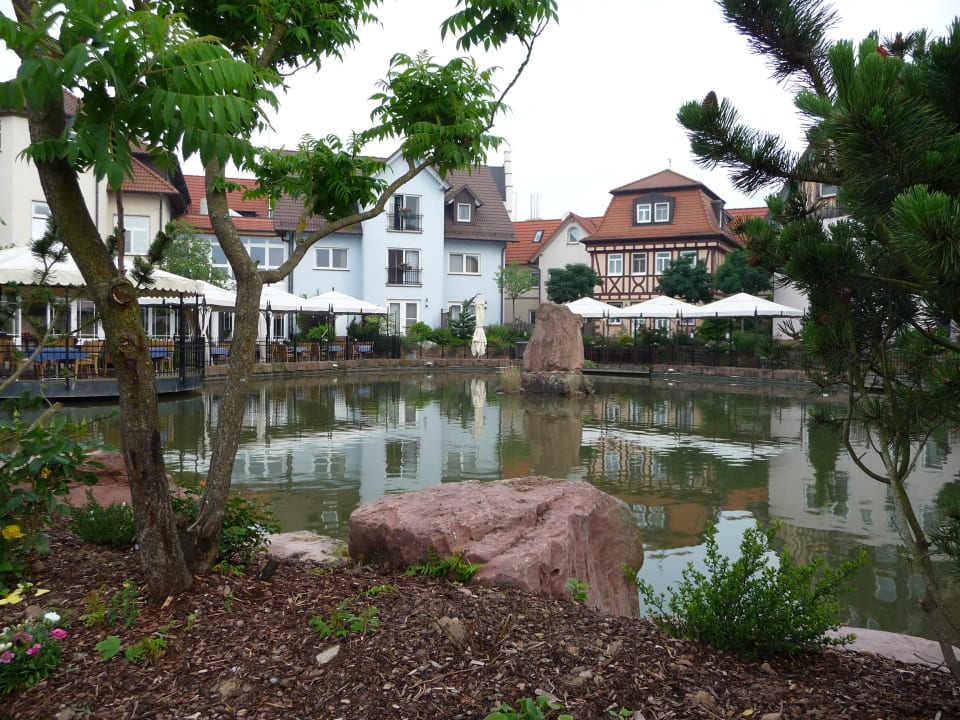 Blick auf den Gartenteich Seehotel Niedernberg