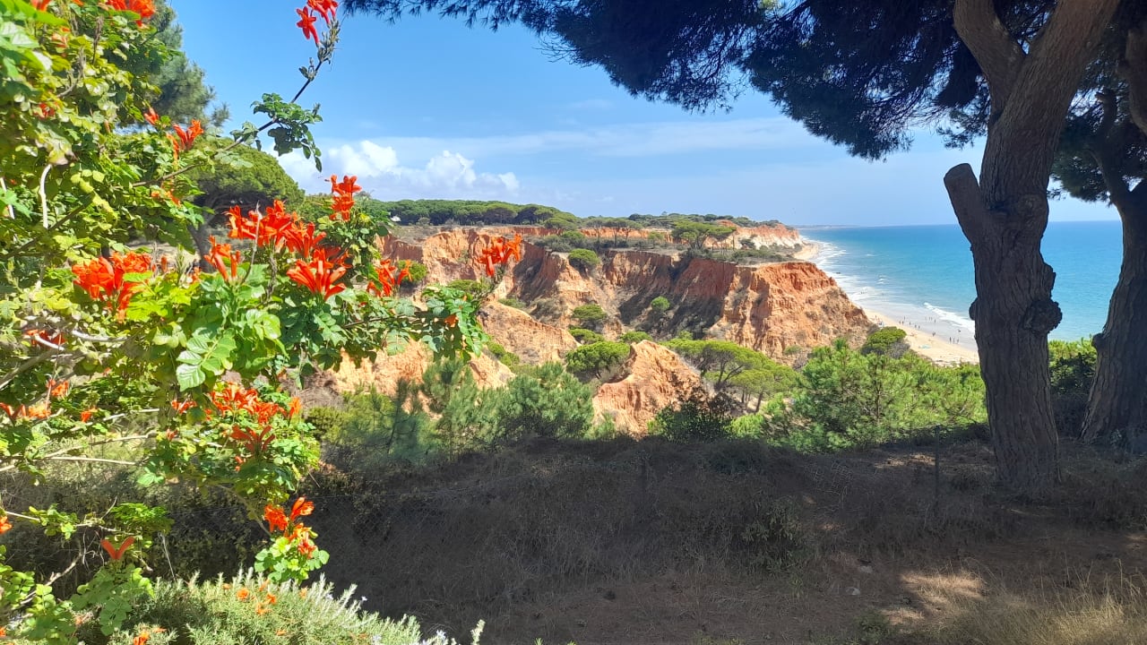 Ausblick PortoBay Falésia