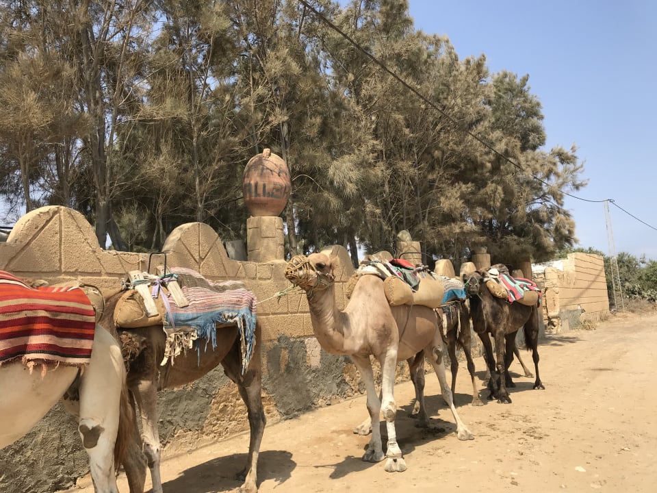 Sport & Freizeit Iberostar Selection Royal El Mansour