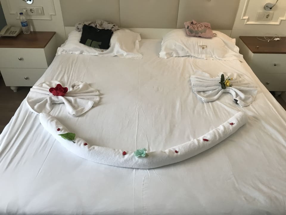 Zimmer Well Palace Side