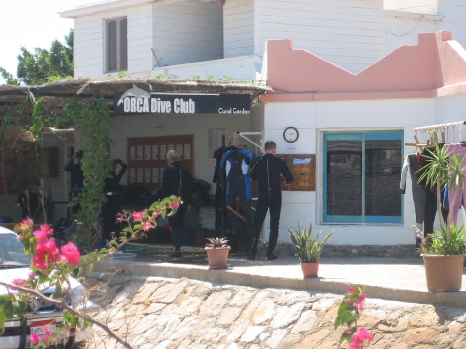 Orca Dive Club Hotel Coral Garden