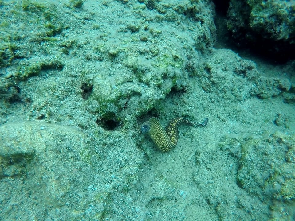 Sport & Freizeit Kakkos Beach Hotel