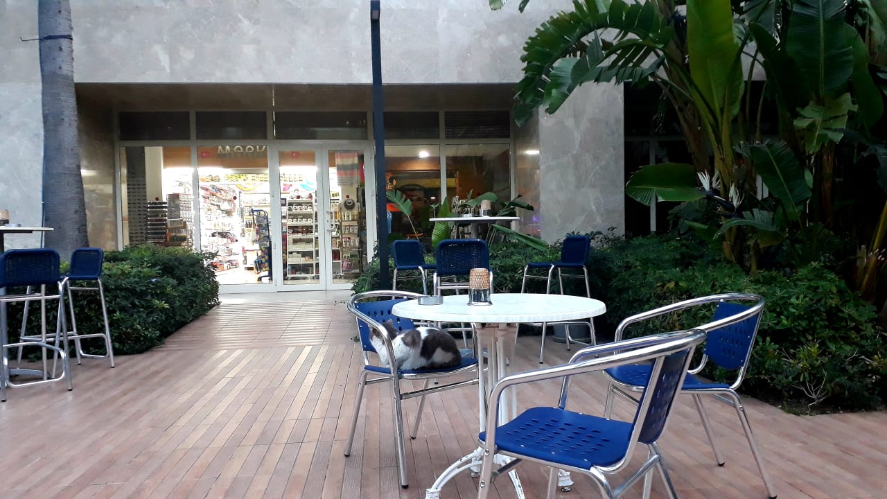 Gastro Sentido Trendy Verbena Beach