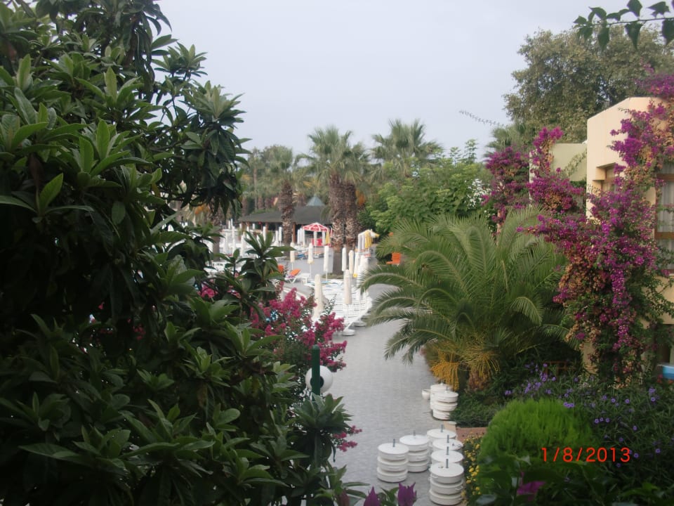 VON Club Golden Beach VONRESORT Golden Beach