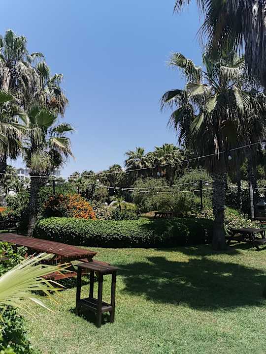 Gartenanlage Royal Atlantis Beach Hotel