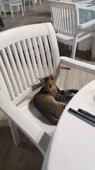 Gastro Saphir Hotel & Villas