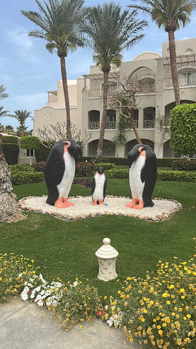 Gartenanlage Hotel JAZ Makadi Star & Spa
