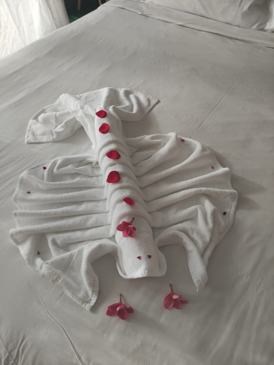 Zimmer Lagoon Attitude - Adults only