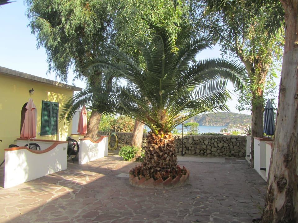 Zimmerfront  Hotel Villa Hibiscus