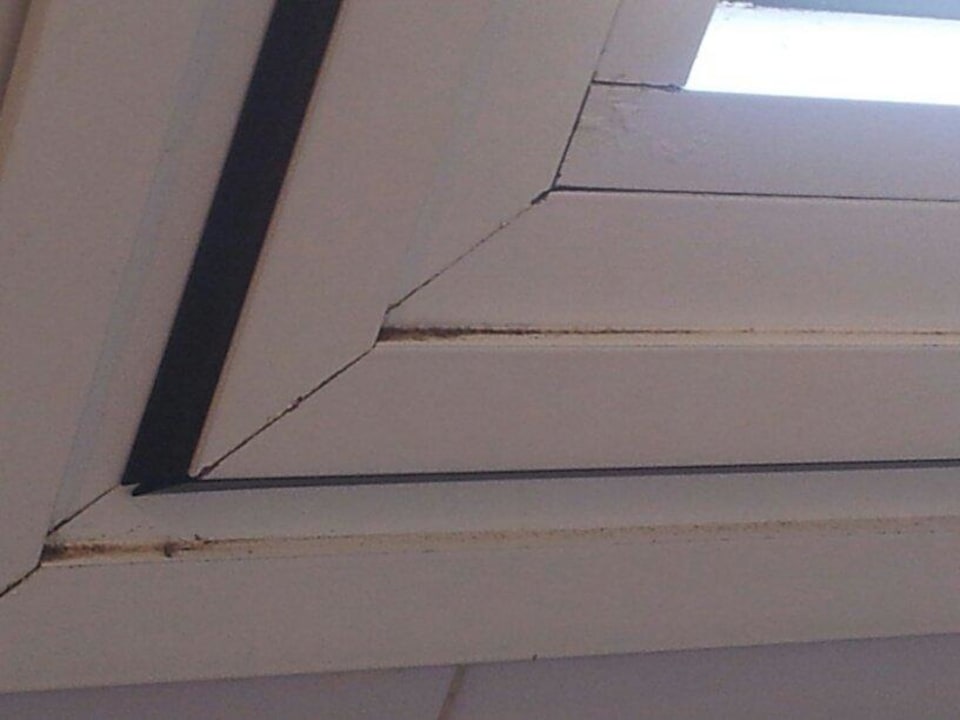 Schimmel am Fenster Playa Park Zensation