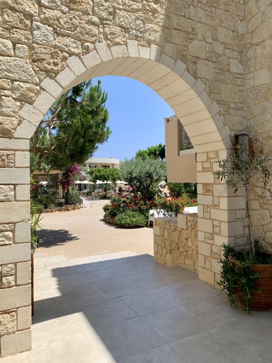 Gartenanlage Cactus Royal