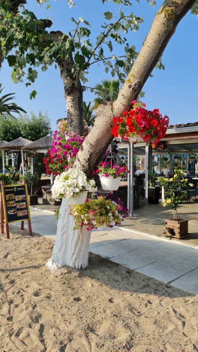 Strand Hotel Albatros