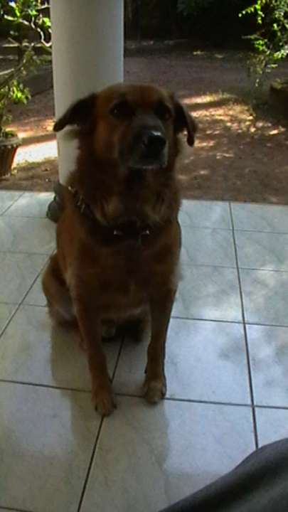 Außenansicht Sunshine Guesthouse