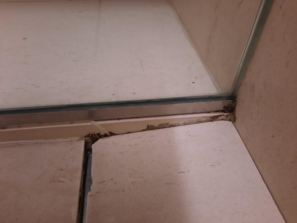 Zimmer Hipotels Gran Playa De Palma