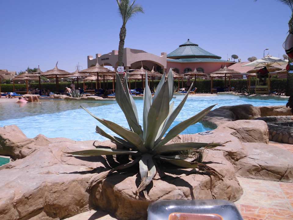 Pool 800er Bereich Pickalbatros Alf Leila Wa Leila Resort - Neverland Hurghada