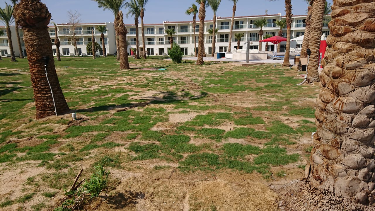 Gartenanlage Amarina Abu Soma Resort & Aquapark