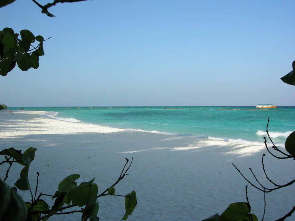 Strand  Summer Island Maldives