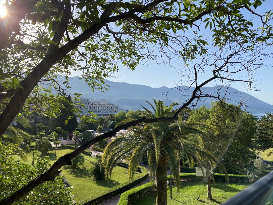 Gartenanlage Iberostar Waves Bellevue