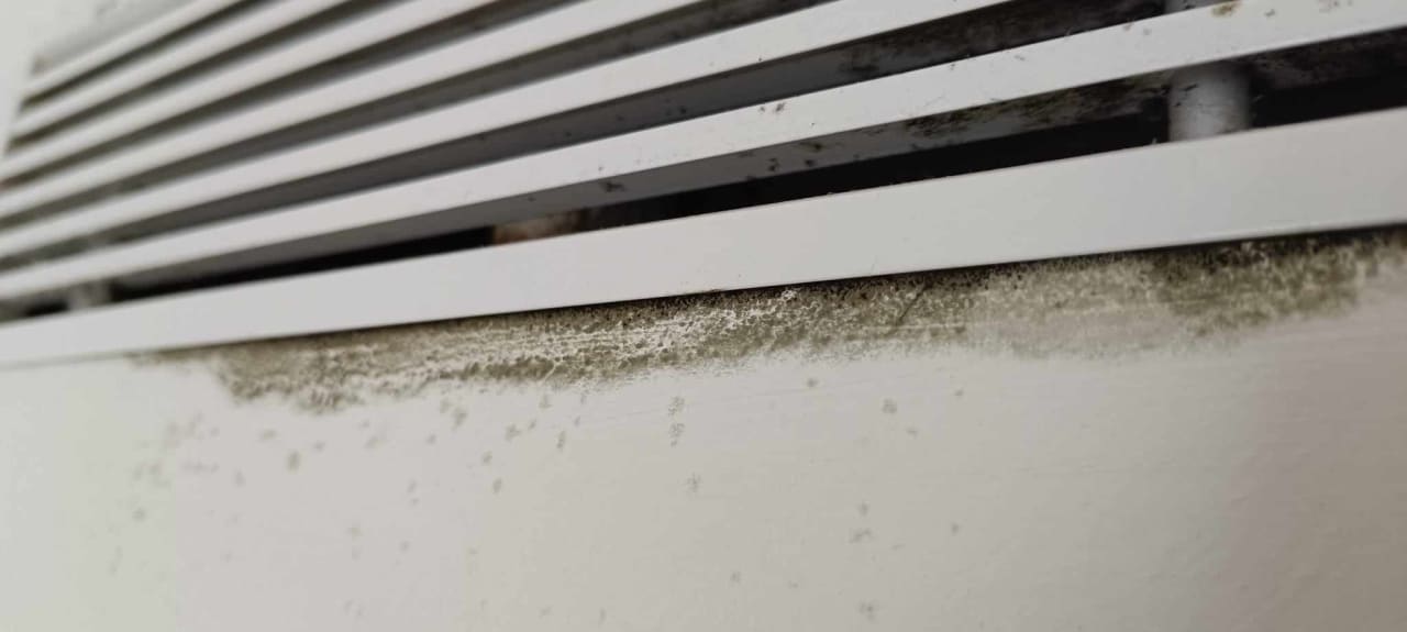 Zimmer allsun Hotel Bella Paguera