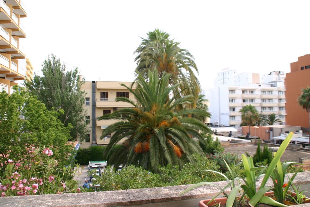 Blick vom Balkon BLUESEA Cala Millor