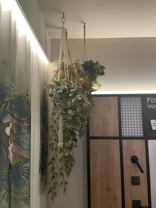 Zimmer me and all hotel Ulm