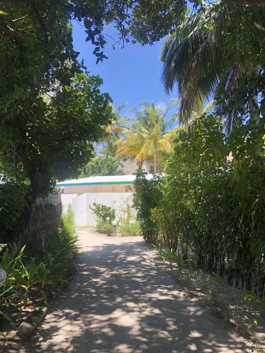 Gartenanlage Angaga Island Resort