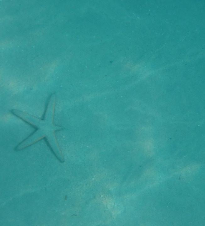 Strand Hotel Riu Palace Tropical Bay