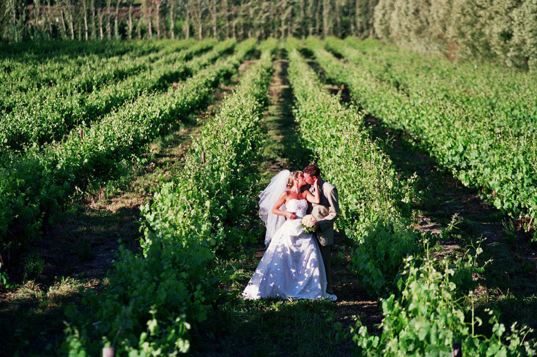 Hochzeiten auf Palmiet Hotel Palmiet Valley Estate