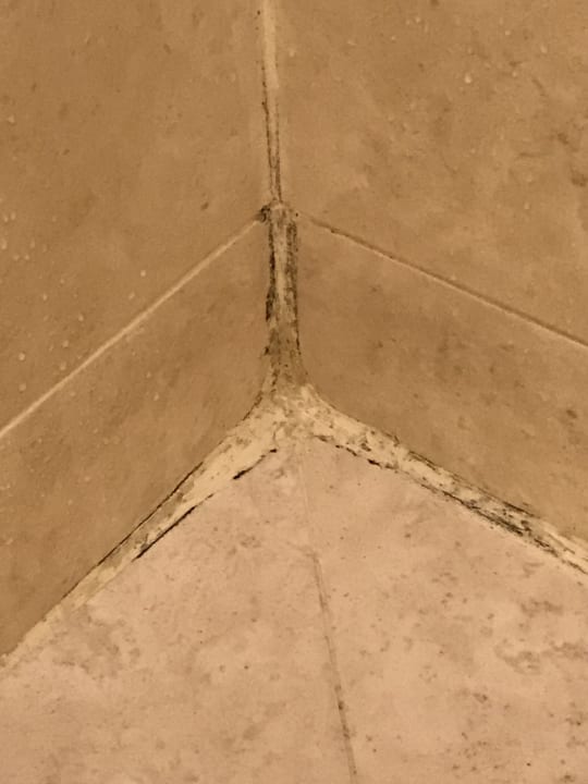 Zimmer Effect Grand Victoria Hotel