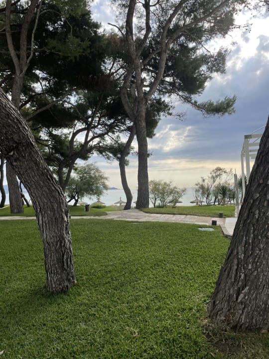 Gartenanlage Iberostar Waves Playa de Muro