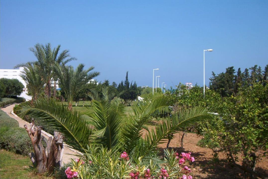 Hotel Sunnydays L'Albatros/Albatros Hotel Sunnydays L'Albatros/Albatros
