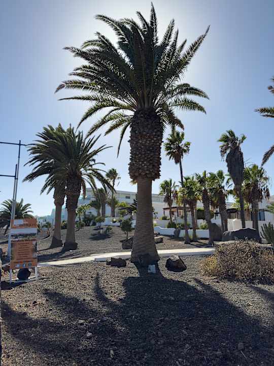 Sonstiges allsun App.-Hotel Albatros