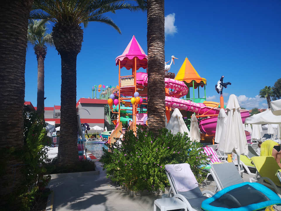 Pool Delphin Deluxe Resort