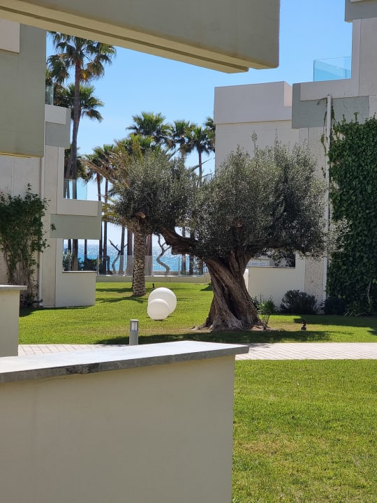 Sonstiges Hipotels Mediterraneo Club