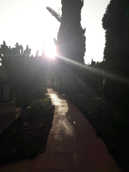 Gartenanlage allsun Hotel Esplendido