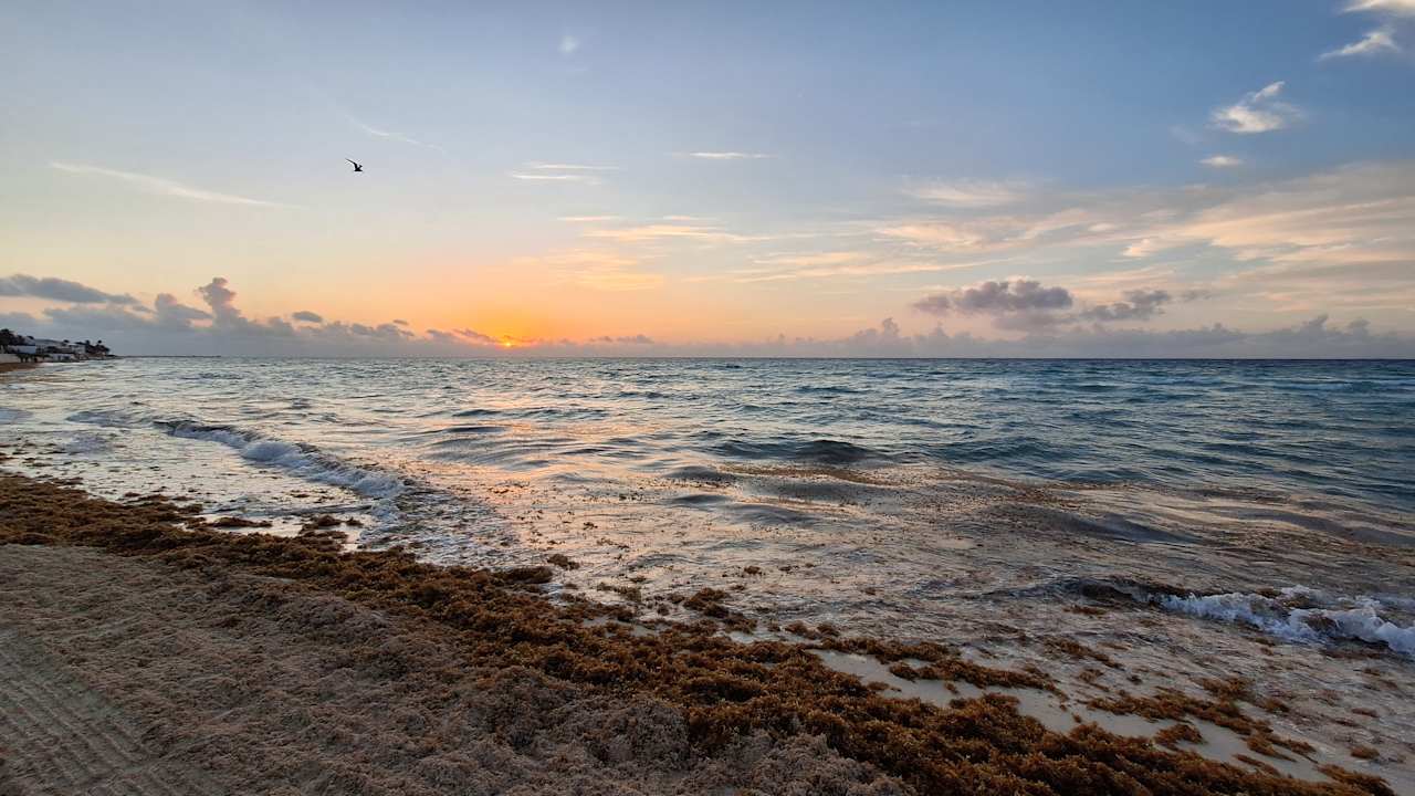 Strand Viva Azteca by Wyndham - All Inclusive Resort