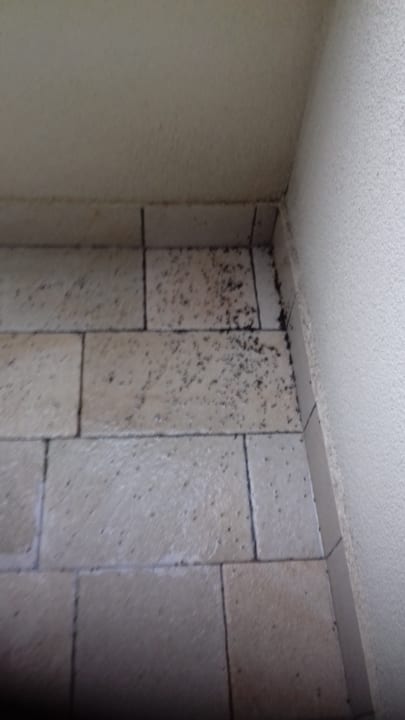 Zimmer Valamar Parentino Hotel