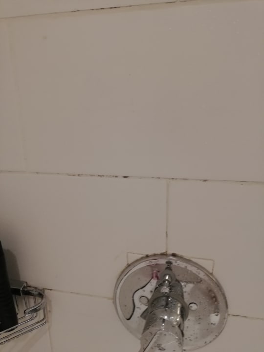 Zimmer Taj Bentota Resort & Spa