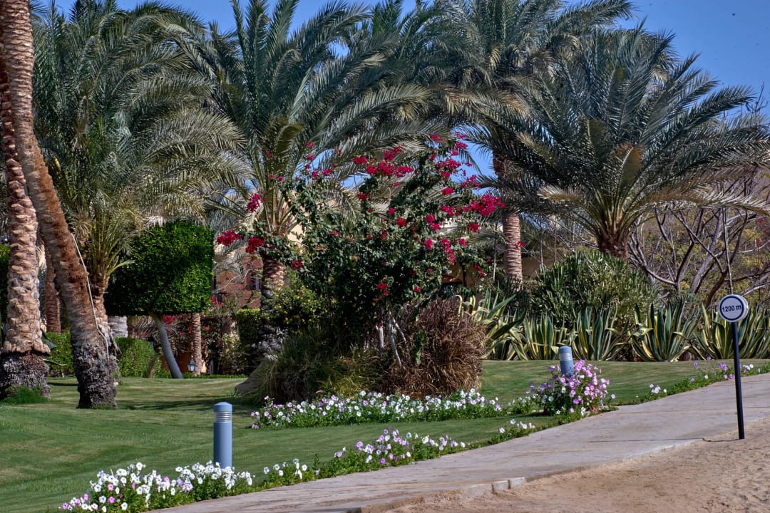 Joggingparkour Steigenberger Coraya Beach - Adults only