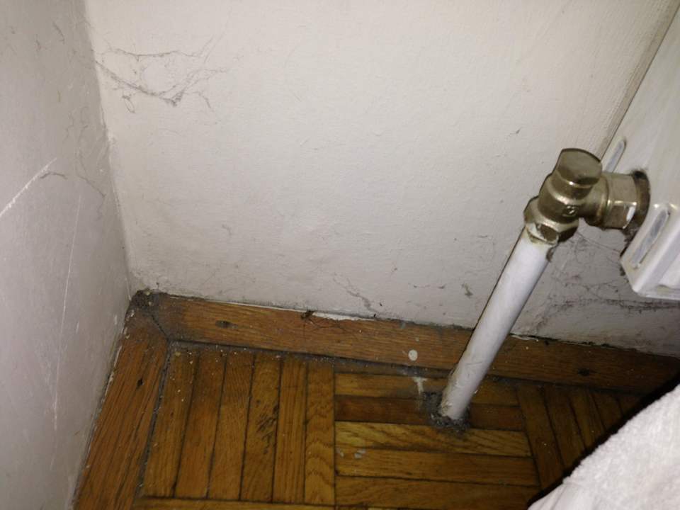 Dreck, egal wo man hinsieht  Gasthof Lindenhof Breitenlee