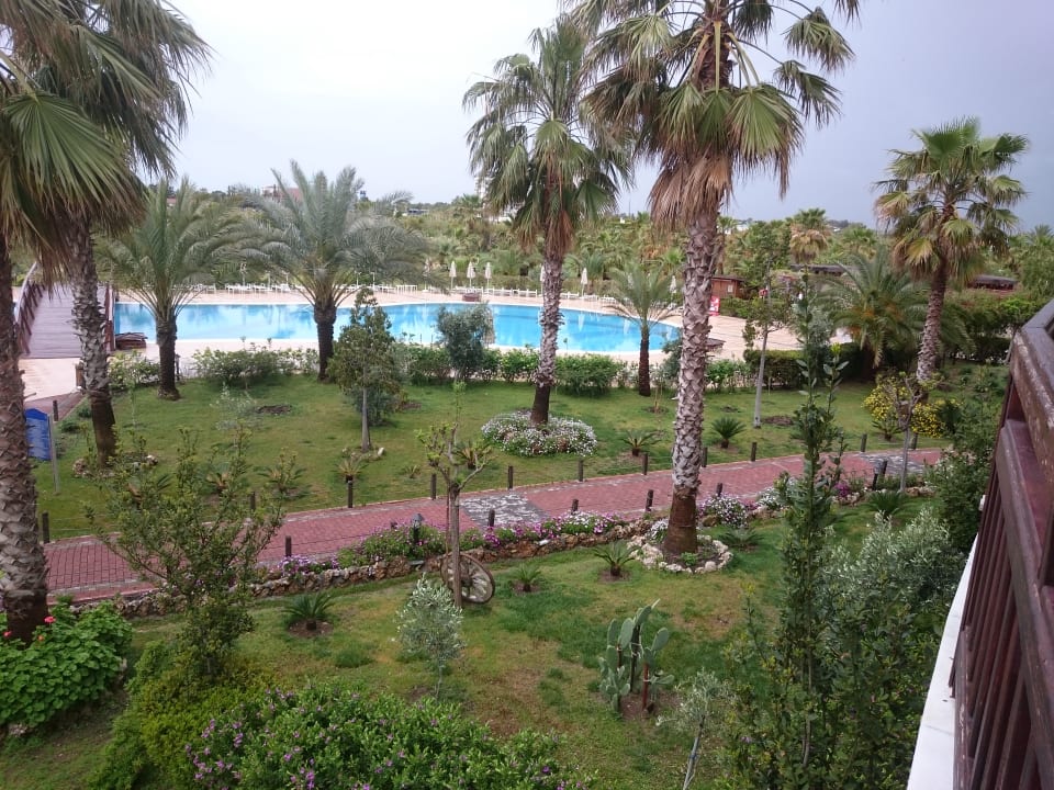 Pool Seaden Sea World Resort & Spa