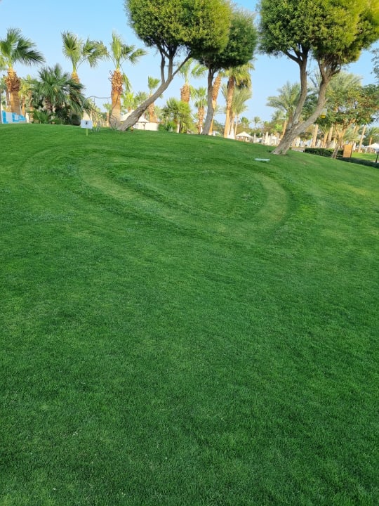Gartenanlage Steigenberger ALDAU Beach Hotel
