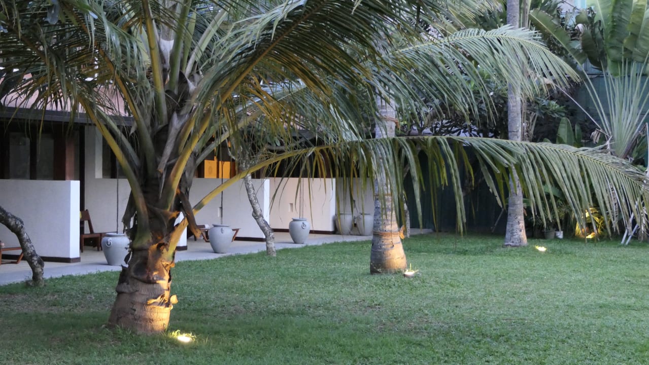 Gartenanlage Goldi Sands Hotel