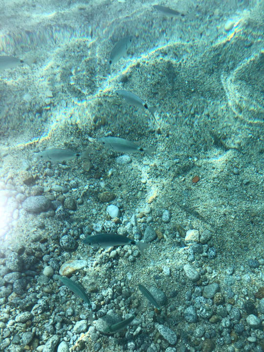 Strand Hotel Villaggio Il Gabbiano