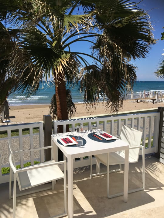 Gastro Acanthus Cennet Barut Collection