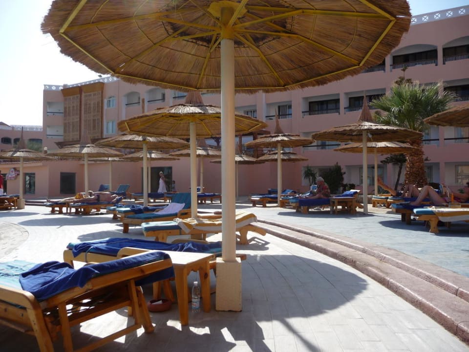 Bequeme Liegen mit Auflage  Beach Albatros Resort