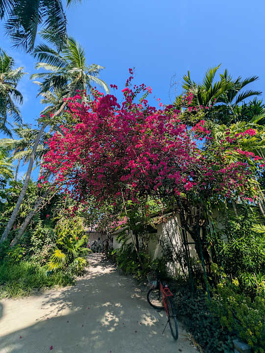 Gartenanlage Kuramathi Maldives